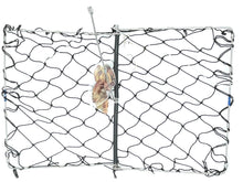 Load image into Gallery viewer, AirFly Real Dried Squid Bait in Mesh Net for Crab Snares & Traps, Easy & Powerful Crab Trap Attractant, Ready-to-Use, No Refrigeration (4 Packs)