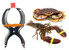 Load image into Gallery viewer, AirFly Crab, Lobster Claw Rubber Bands, Protect Lobsters & Crabs, Cook Safe FDA-Compliant Silicone, Made in USA, 600 pcs