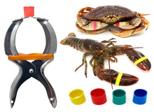Load image into Gallery viewer, AirFly Crab, Lobster Claw Rubber Bands, Protect Lobsters & Crabs, Cook Safe FDA-Compliant Silicone, Made in USA, 600 pcs
