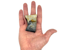 Load image into Gallery viewer, AirFly Dried Mackerel Baits for Crab Snare, Crab Trap, Real Mackerel Ready to Use as Crab Bait, No Refrigeration, 4 Packs