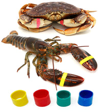 Load image into Gallery viewer, AirFly Crab, Lobster Claw Rubber Bands, Protect Lobsters & Crabs, Cook Safe FDA-Compliant Silicone, Made in USA, 600 pcs