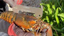 Load and play video in Gallery viewer, AirFly Aluminum Lobster and Blue Crab Gauge for California, Maine, MA, NH, RI, CT, MP, AL, FL, GA, MD, VA, NC, SC, LA, TX, Canada, 5", 3 1/4"