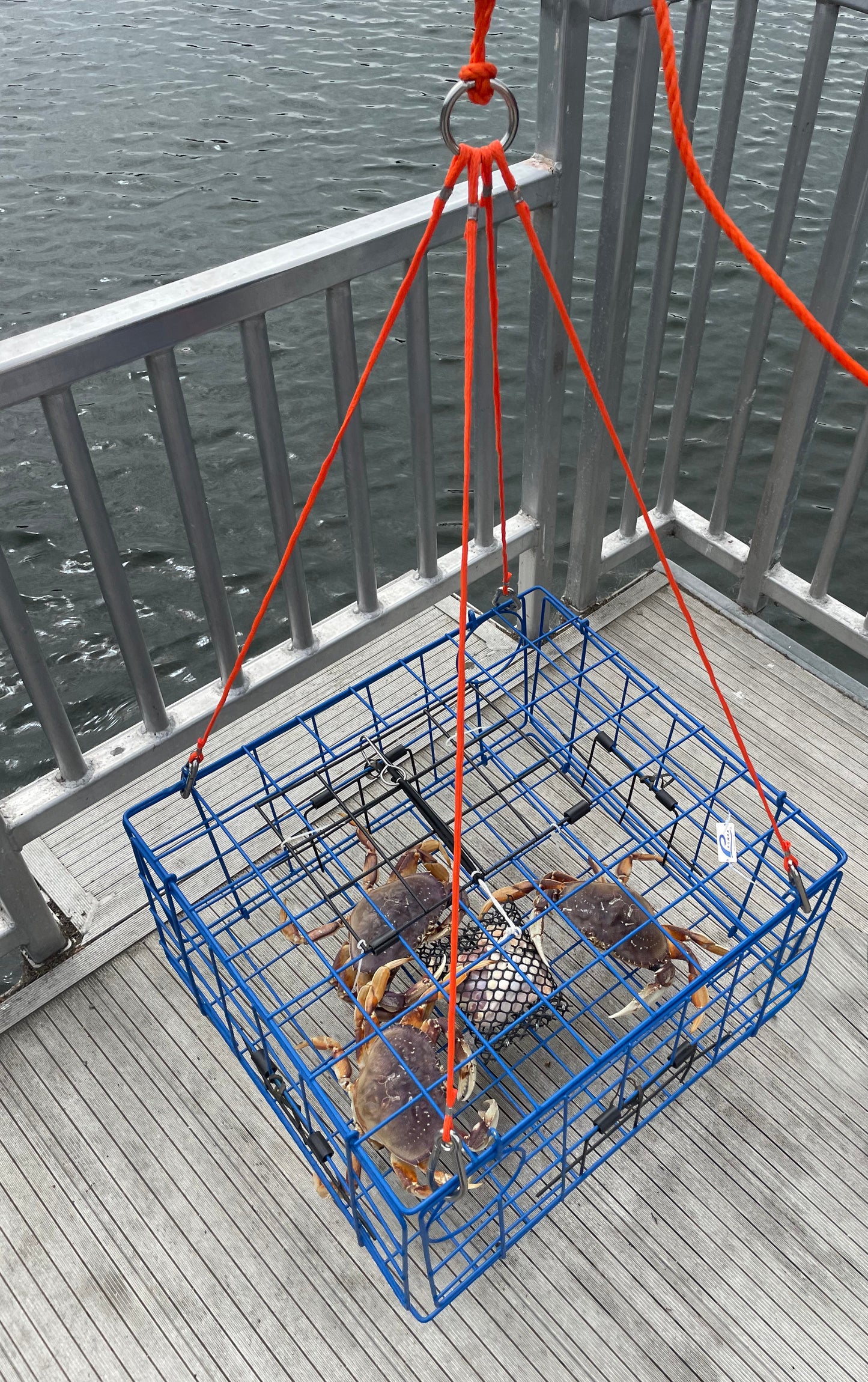 AirFly 4 Arm Crab Trap Harness with 304 Stainless Steel Hooks and Float, Combo, 3 pieces