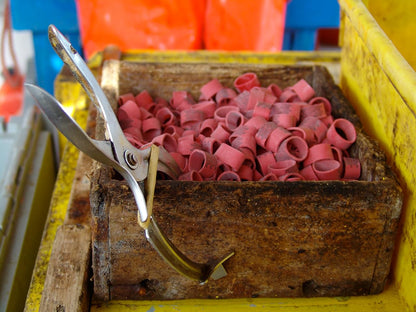 AirFly Crab, Lobster Claw Rubber Bands, Protect Lobsters & Crabs, Cook Safe FDA-Compliant Silicone, Made in USA - Binder Pliers (no bands)