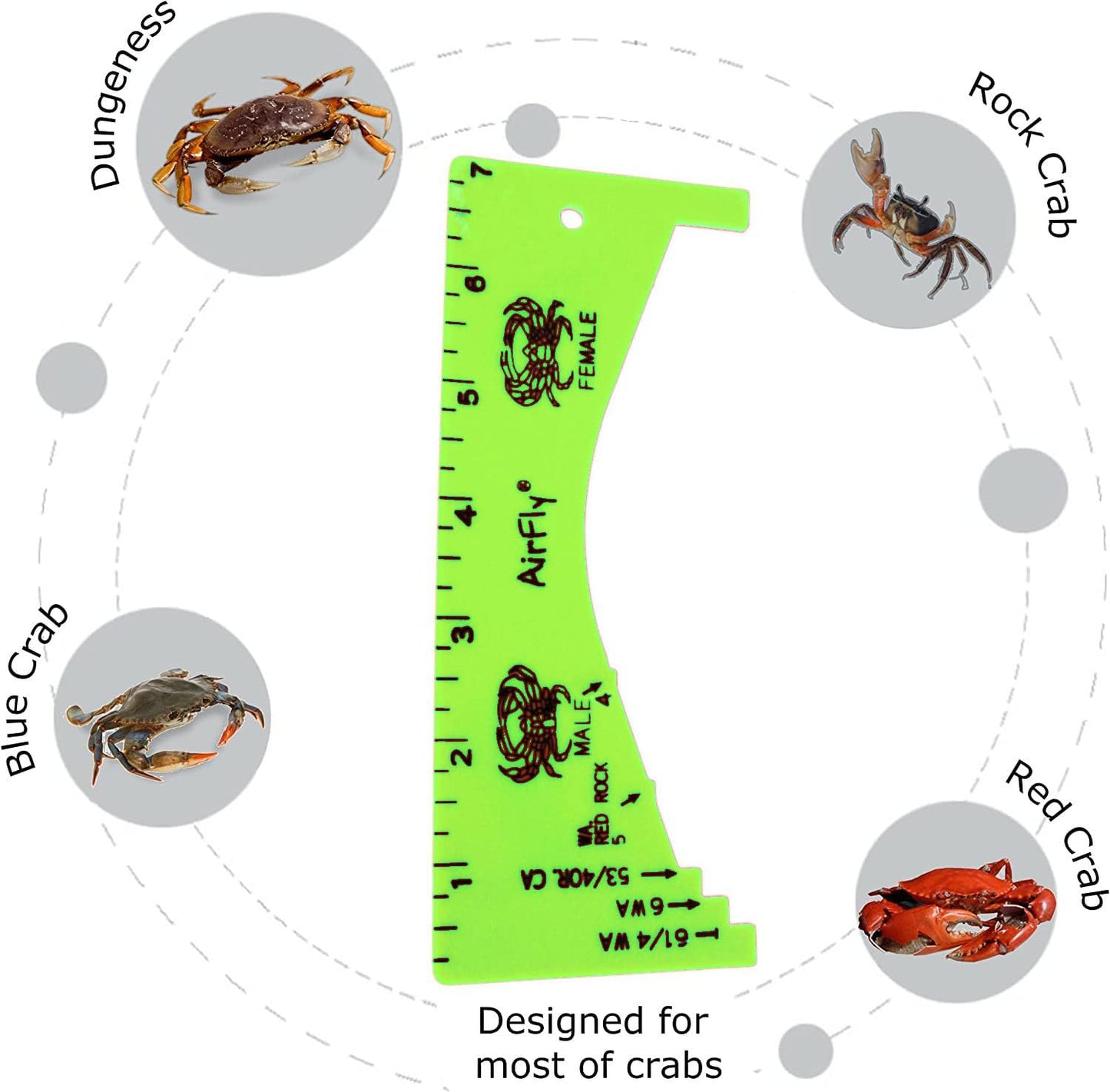 AirFly Dungeness Crab Gauge - Measure for California, Washington & Oregon - Green