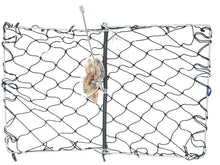 Load image into Gallery viewer, AirFly Real Dried Squid Bait in Mesh Net for Crab Snares &amp; Traps, Easy &amp; Powerful Crab Trap Attractant, Ready-to-Use, No Refrigeration (4 Packs)
