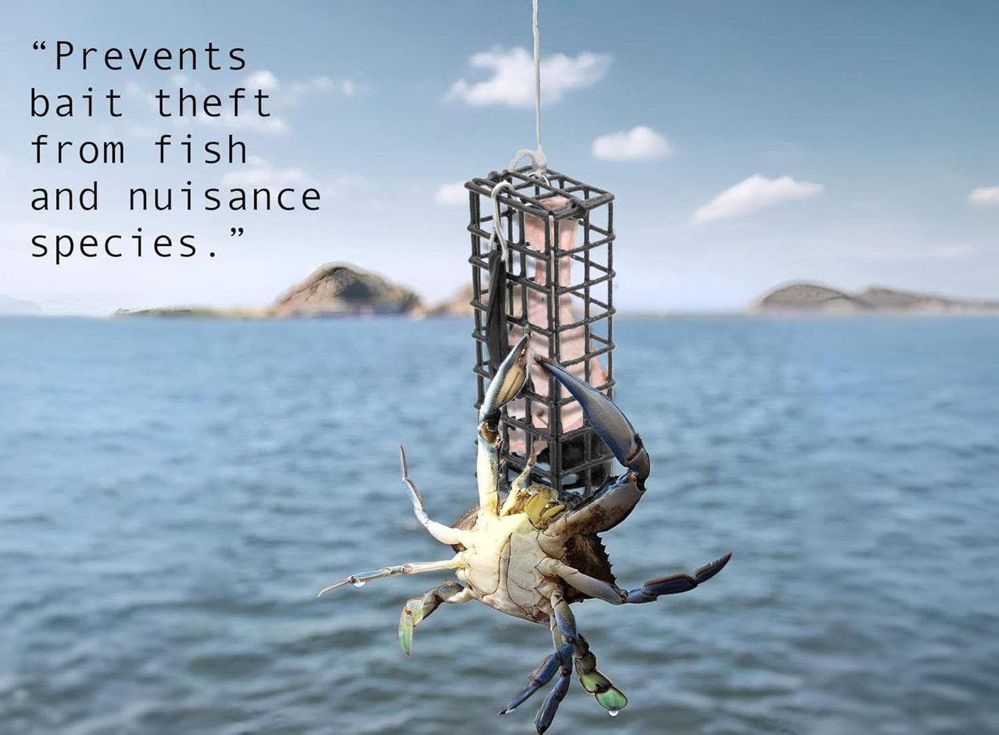 AirFly Bait Cage for Crab Traps, Nets, Rings, Snares - 4”x2”x1”, 5oz, Secure & Durable for Dungeness, Rock & Blue Crabs, 3 pieces