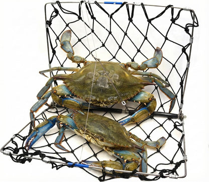 AirFly Foldable Castable Crab Trap - Crab Hawk & Crab Jaw Star Trap with Bait Clip - Portable Fishing Rod Crab Pot for Blue Crabs & Dungeness - Designed in USA