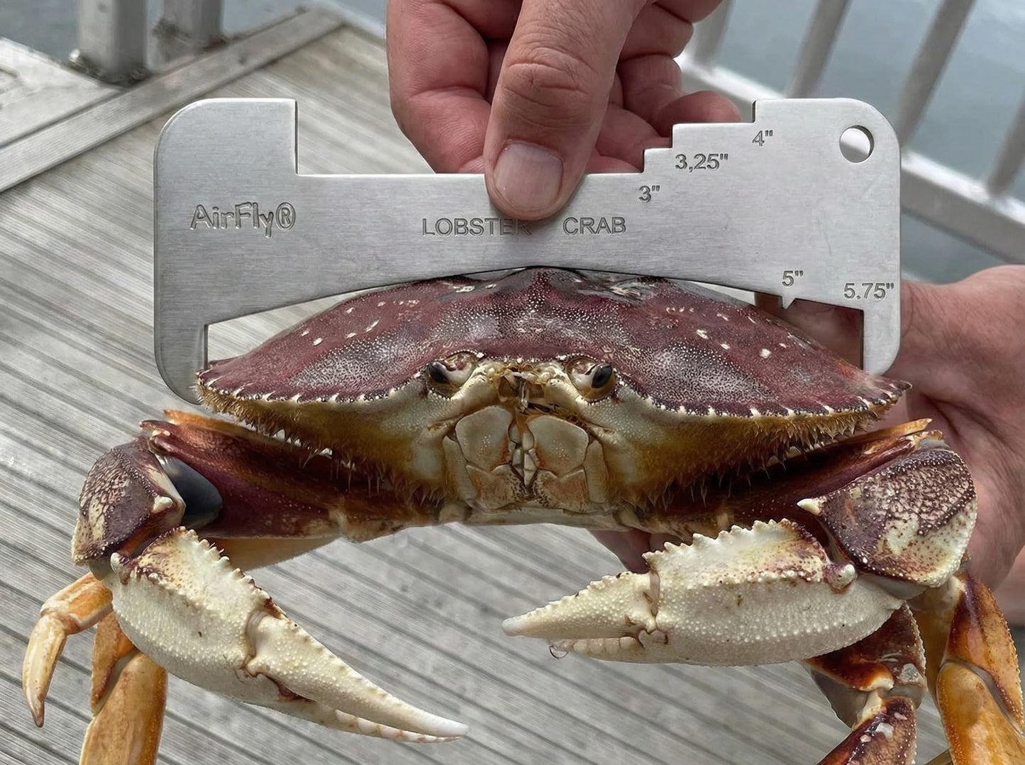 AirFly 5-in-1 Aluminum Crab and Lobster Gauge - Dungeness, Blue, Rock Crab and Lobster - Laser-Etched - CA, ME, MA, MD, FL, TX, Gulf and Canada - Designed in USA