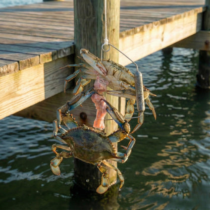 Airfly Blue Crab Throw Line - 30ft Cotton Hand Line with Bait-Lock Pin and Sinker - Chicken Necking Drop Line for Pier, Dock and Bridge - Designed in USA