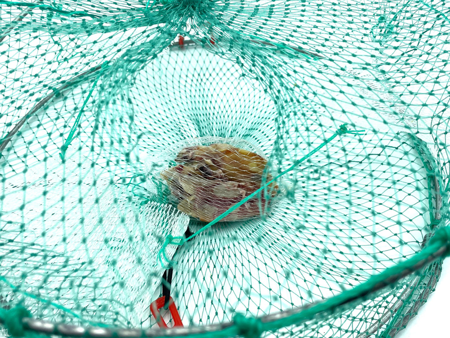 AirFly Real Dried Squid Bait in Mesh Net for Crab Snares & Traps, Easy & Powerful Crab Trap Attractant, Ready-to-Use, No Refrigeration (4 Packs)