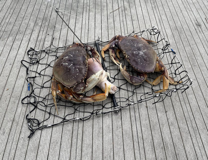 AirFly Foldable Castable Crab Trap - Crab Hawk & Crab Jaw Star Trap with Bait Clip - Portable Fishing Rod Crab Pot for Blue Crabs & Dungeness - Designed in USA