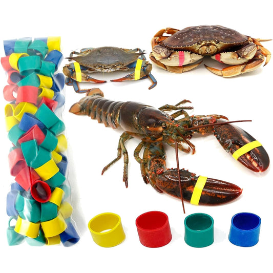 AirFly Silicone Crab and Lobster Claw Bands, 100 Count Trial Pack, Made in USA - Red, Blue, Green & Yellow, FDA-Complian