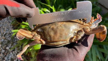 AirFly Aluminum Lobster and Blue Crab Gauge for California, Maine, MA, NH, RI, CT, MP, AL, FL, GA, MD, VA, NC, SC, LA, TX, Canada, 5
