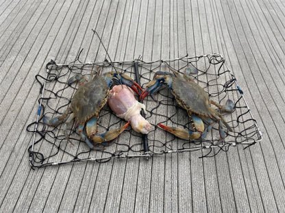 AirFly Foldable Crabjaw Trap with Bait Clip - Redesigned Rectangle Castable Crab Hawk Pot/Ring for Dungeness and Blue Crabs in Florida, Oregon, Washington, Texas, and California,  2pcs
