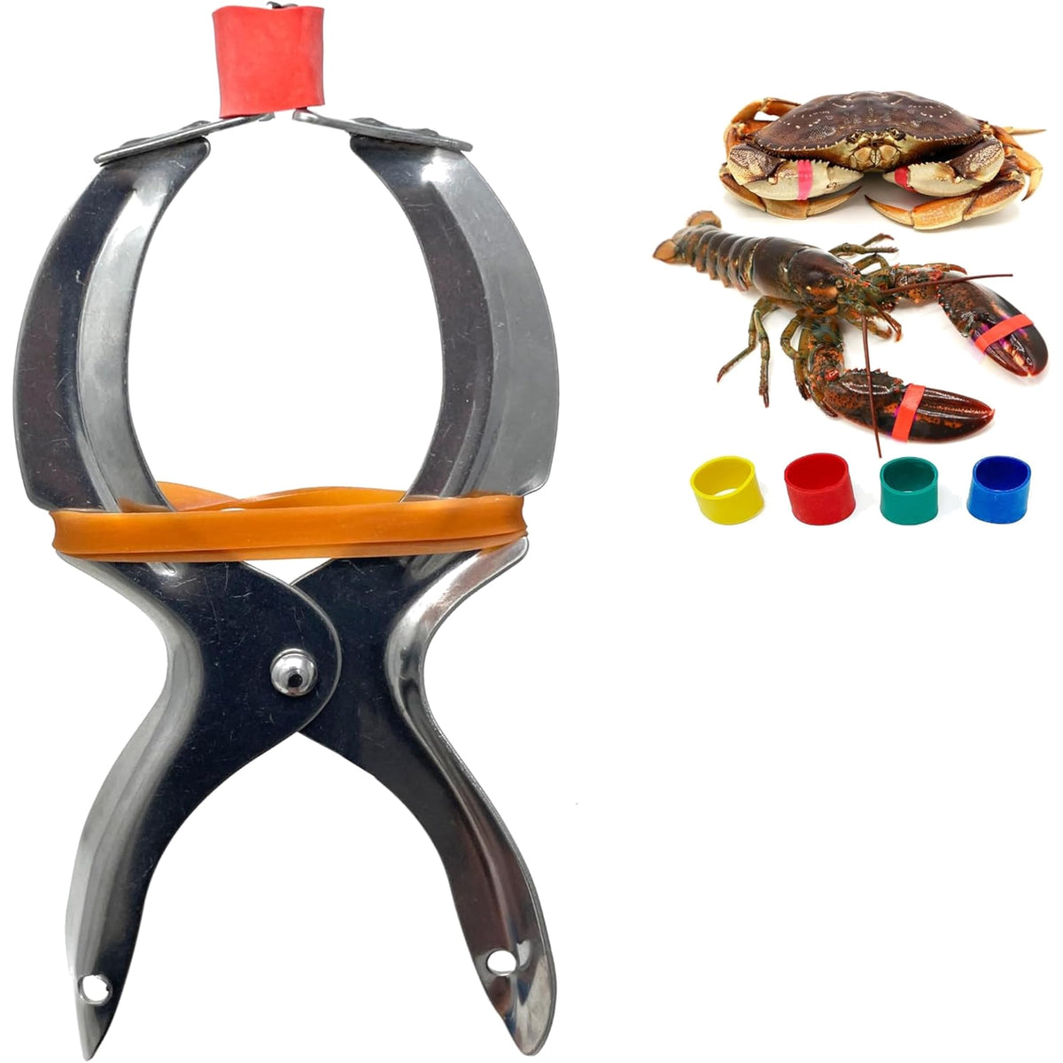 AirFly Lobster and Crab Claw Bander Tool, Banding Pliers for 1 x 0.5 in Claw Bands - Band Claws Fast Without Pinched Fin