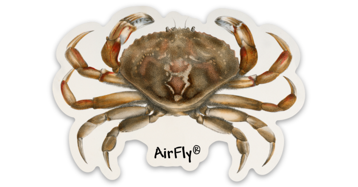 Bay Area & NorCal Crab Snaring: 26 Spots, Map & 2026 Guide | AirFly