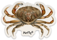 AirFly