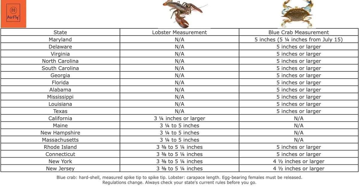 AirFly Aluminum Crab & Lobster Gauge, 5 in & 3¼ in Slots - Blue Crab, American & Spiny Lobster, Laser-Etched, 1 or 2 Pac