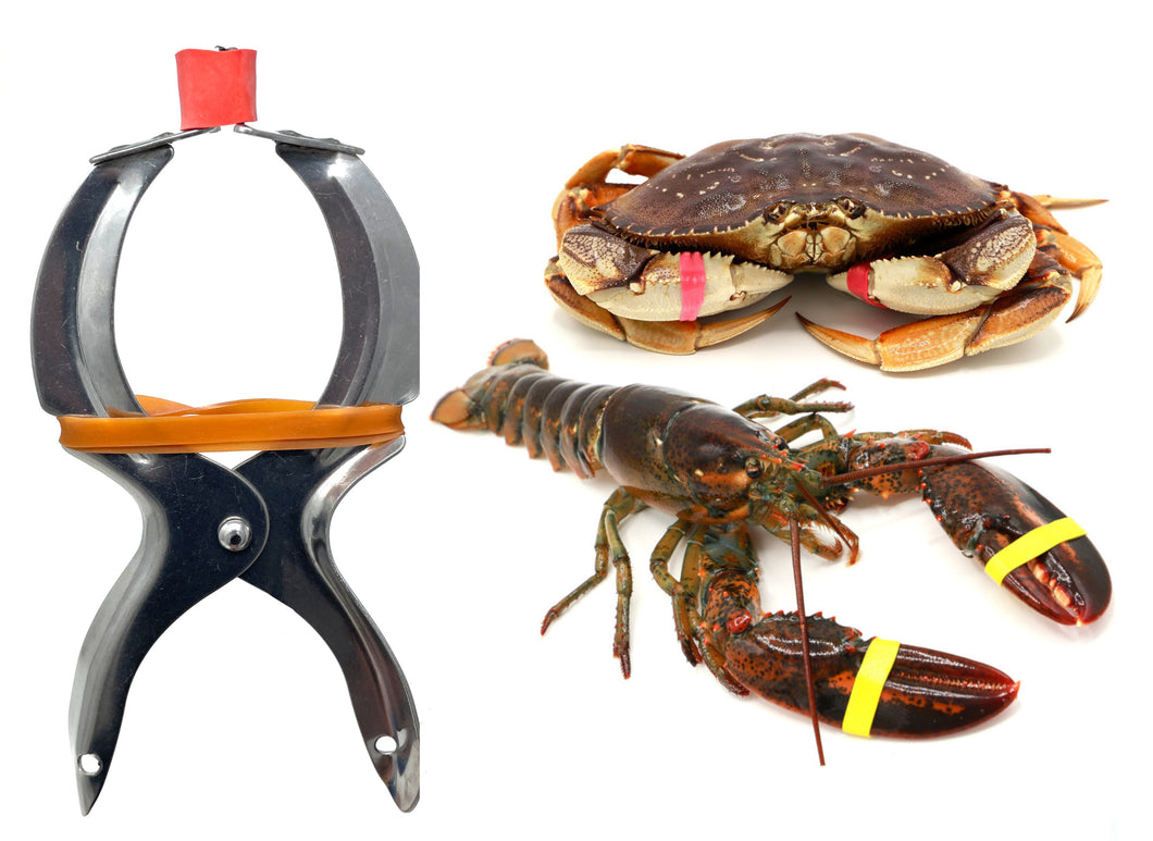 AirFly Crab, Lobster Claw Rubber Bands, Protect Lobsters & Crabs, Cook Safe FDA-Compliant Silicone, Made in USA, 600 pcs