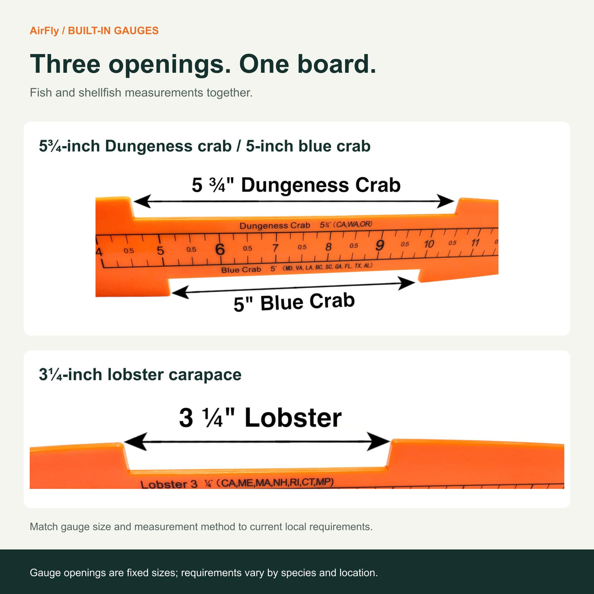 AirFly 32-Inch Folding Fish Measuring Board with Crab & Lobster Gauges - 5 in Blue Crab, 5¾ in Dungeness, 3¼ in Lobster,