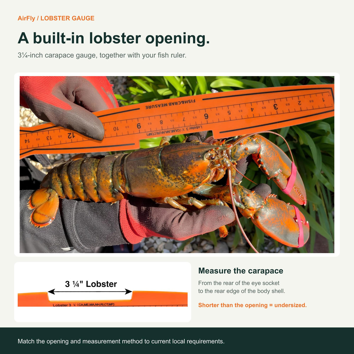AirFly 32-Inch Folding Fish Measuring Board with Crab & Lobster Gauges - 5 in Blue Crab, 5¾ in Dungeness, 3¼ in Lobster,