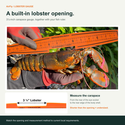 AirFly 32-Inch Folding Fish Measuring Board with Crab & Lobster Gauges - 5 in Blue Crab, 5¾ in Dungeness, 3¼ in Lobster,