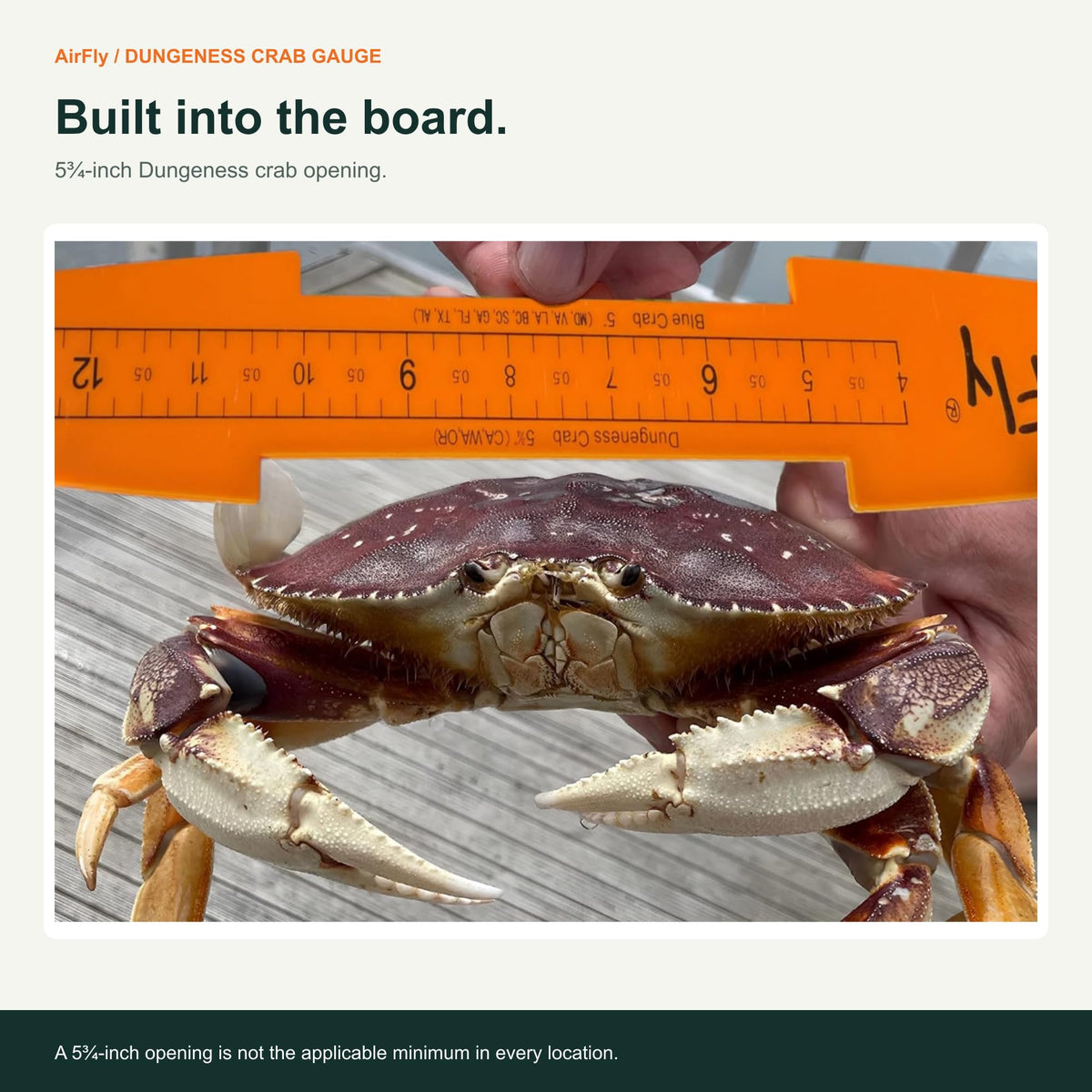 AirFly 32-Inch Folding Fish Measuring Board with Crab & Lobster Gauges - 5 in Blue Crab, 5¾ in Dungeness, 3¼ in Lobster,