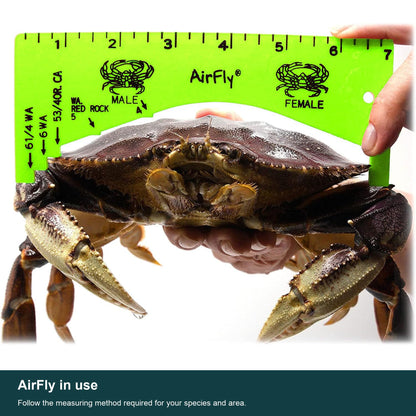 AirFly Green Crab Gauge, 5 Openings, Dungeness, Rock & Blue Crab - 4, 5, 5¾, 6 & 6¼ in Sizes, Lightweight ABS, Molded Ma
