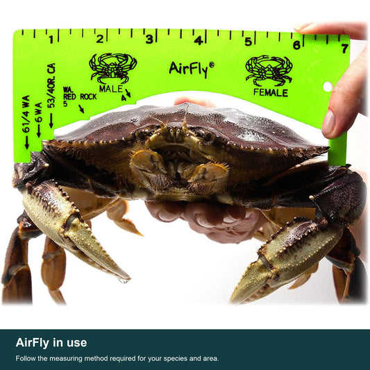 AirFly Green Crab Gauge, 5 Openings, Dungeness, Rock & Blue Crab - 4, 5, 5¾, 6 & 6¼ in Sizes, Lightweight ABS, Molded Ma