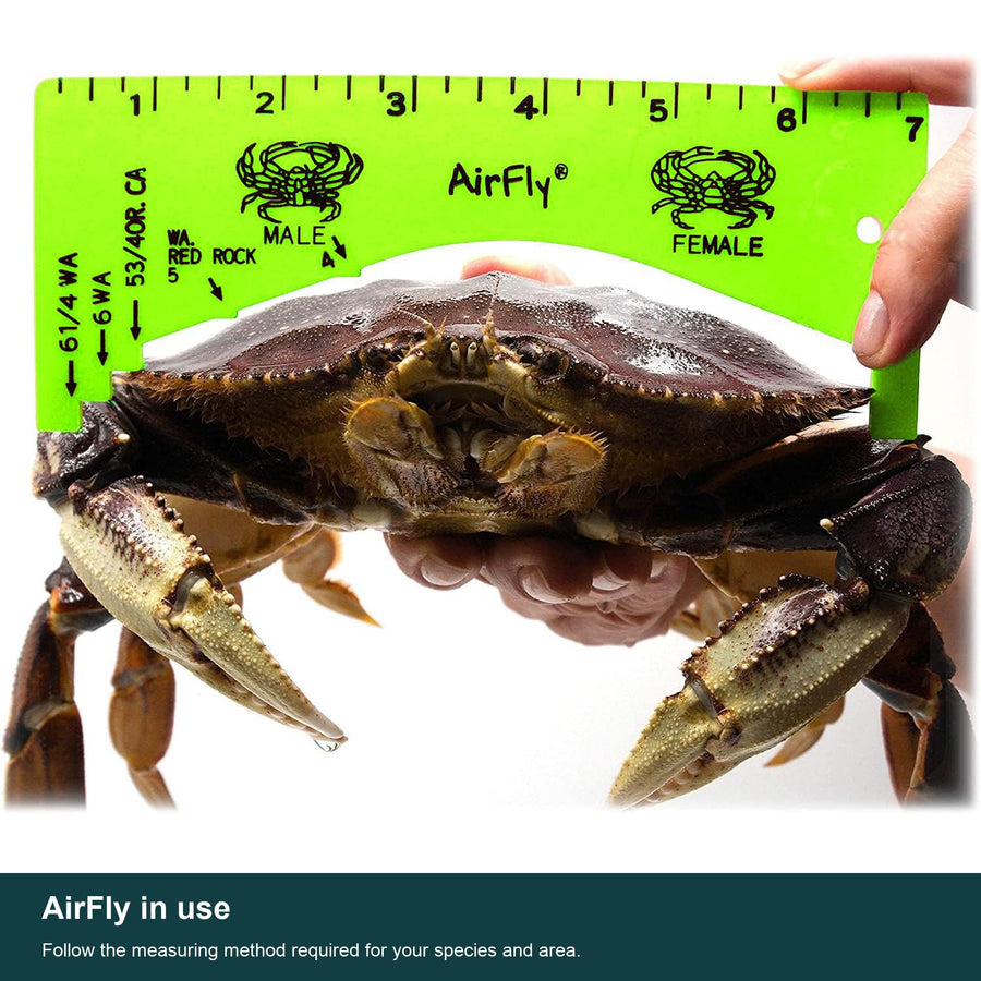 AirFly Green Crab Gauge, 5 Openings, Dungeness, Rock & Blue Crab - 4, 5, 5¾, 6 & 6¼ in Sizes, Lightweight ABS, Molded Ma