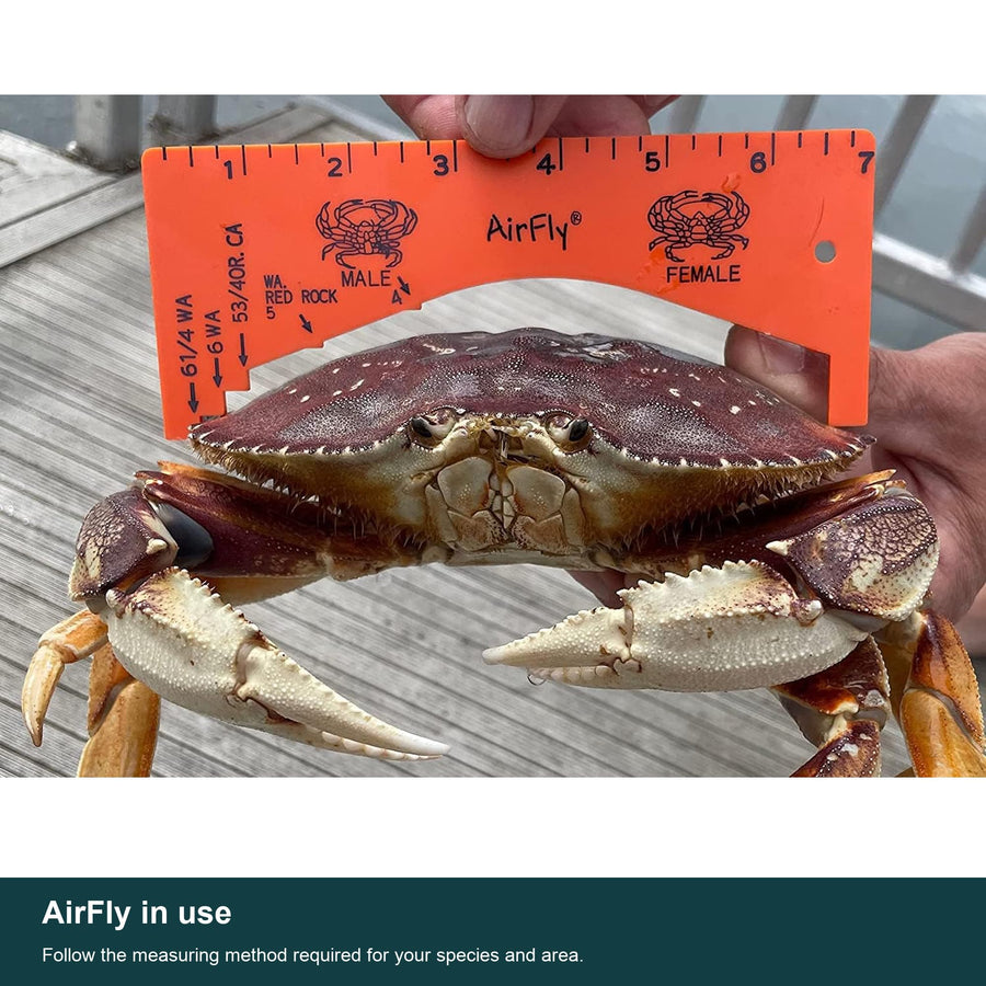 AirFly 2 Pack Crab Gauge, 1 Orange + 1 Green, 5 Openings, Dungeness, Rock & Blue Crab - 4, 5, 5¾, 6 & 6¼ in Sizes, Molde