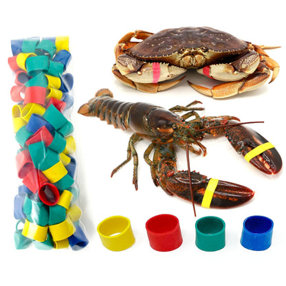 AirFly Crab, Lobster Claw Rubber Bands, Protect Lobsters & Crabs, Cook Safe FDA-Compliant Silicone, Made in USA, 100 pcs - Assorted Colors