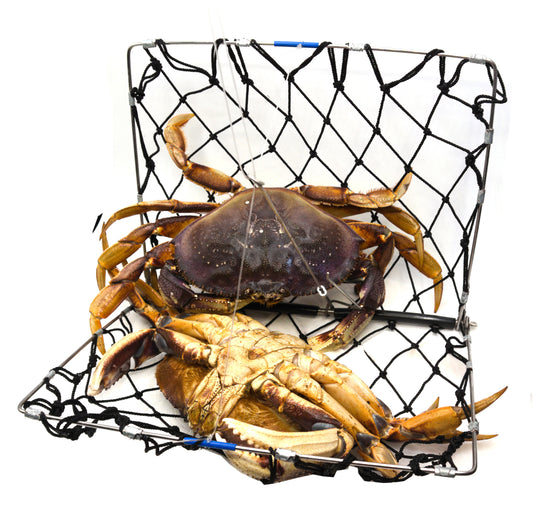 AirFly Foldable Crabjaw Trap with Bait Clip - Redesigned Rectangle Castable Crab Hawk Pot/Ring for Dungeness and Blue Crabs in Florida, Oregon, Washington, Texas, and California  (1pcs)