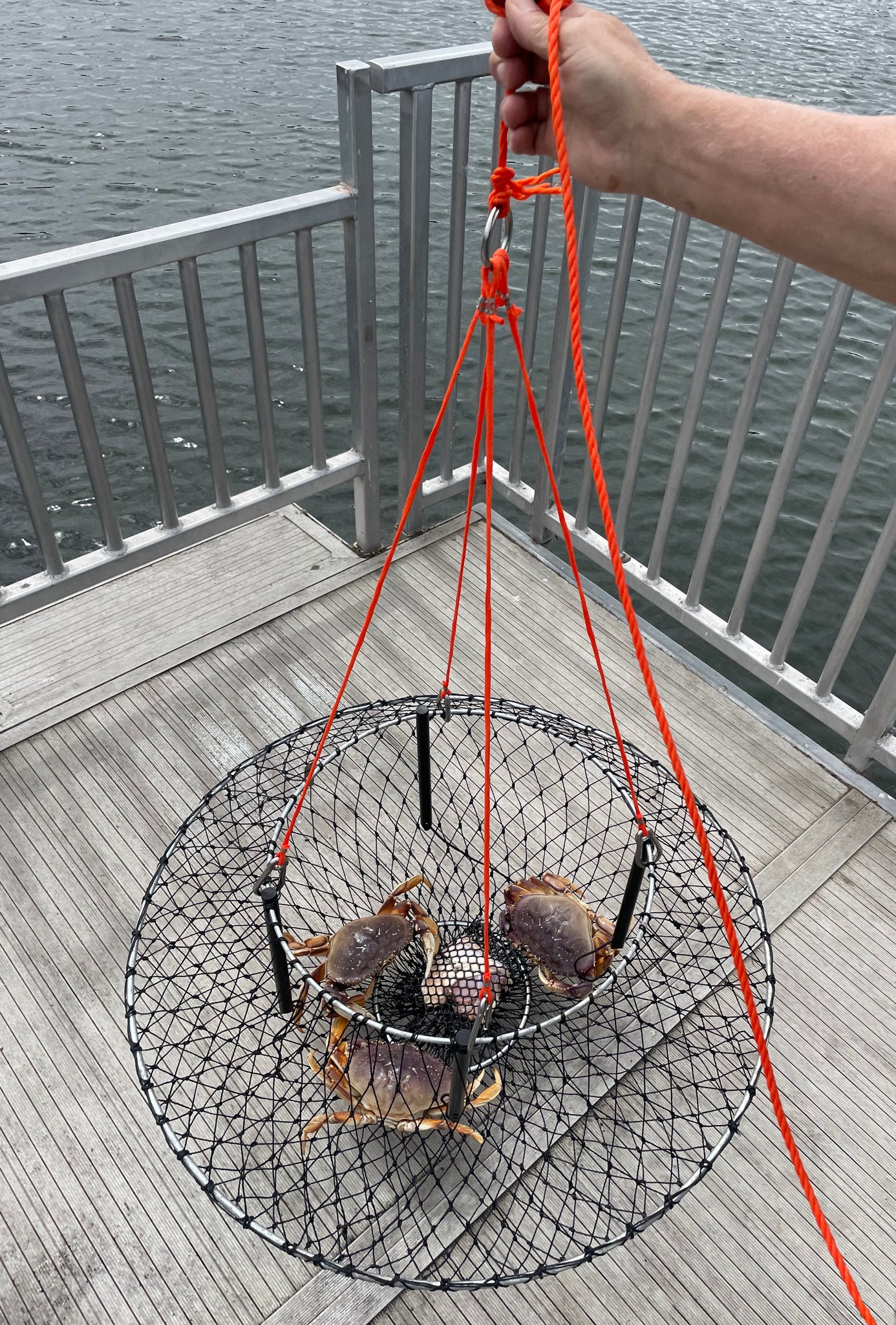 Promar Braided Crab/Lobster Rope